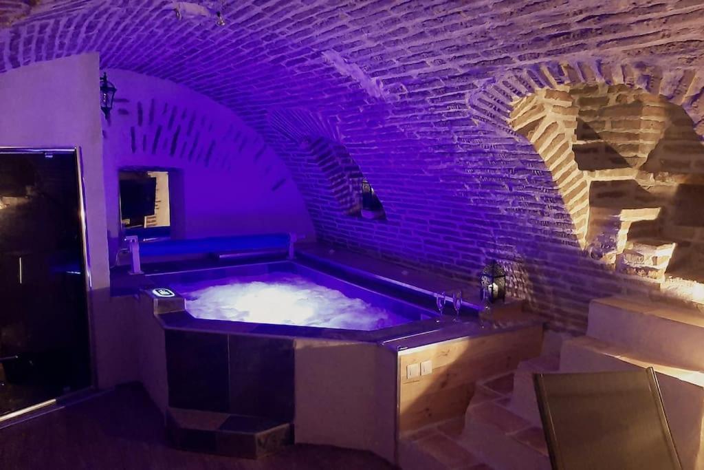 Studio Et Spa Privatif Le Puits De La Grace Albi Dış mekan fotoğraf
