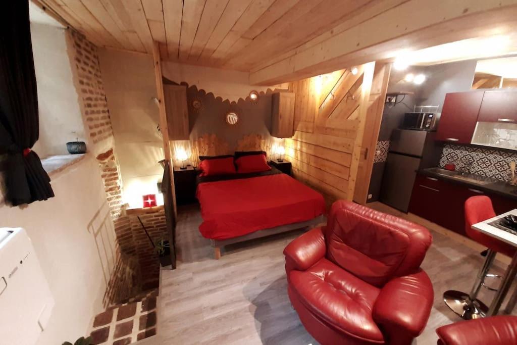 Studio Et Spa Privatif Le Puits De La Grace Albi Dış mekan fotoğraf