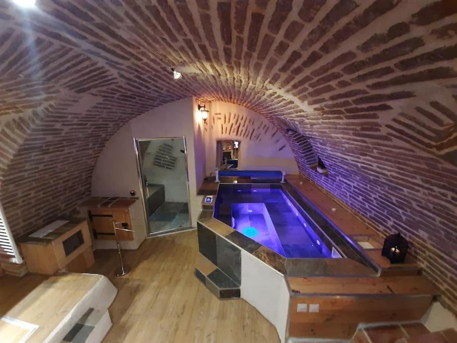 Studio Et Spa Privatif Le Puits De La Grace Albi Dış mekan fotoğraf