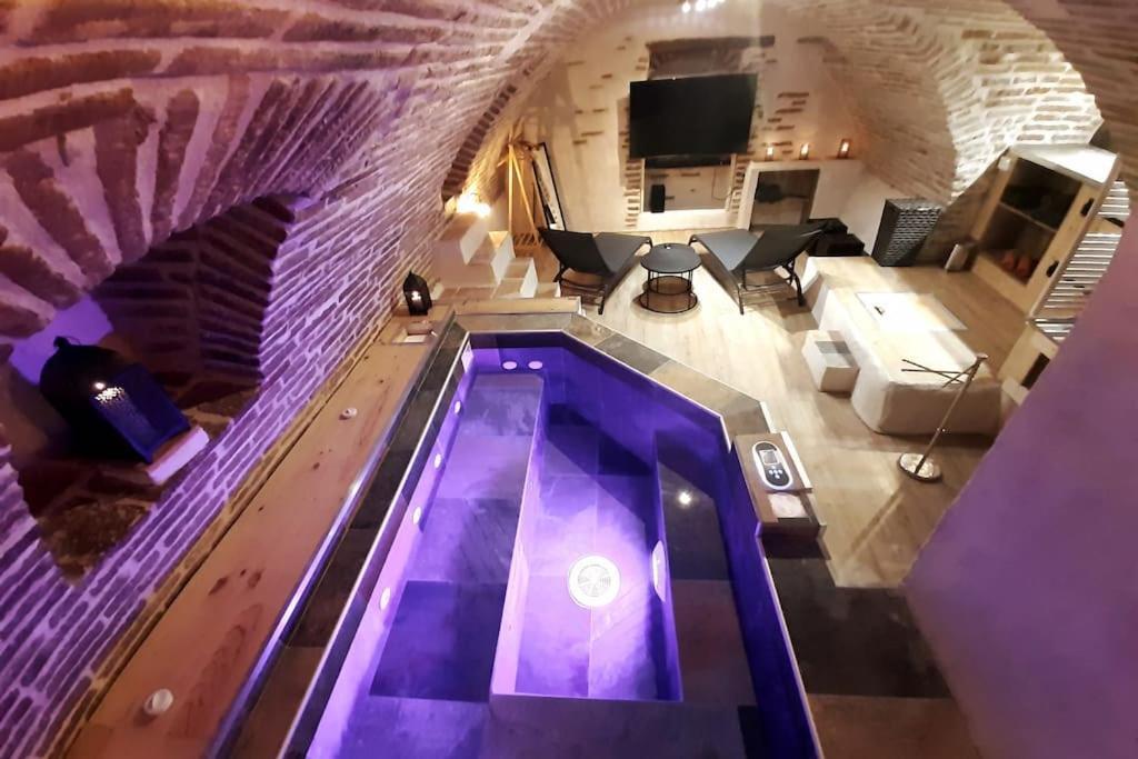 Studio Et Spa Privatif Le Puits De La Grace Albi Dış mekan fotoğraf