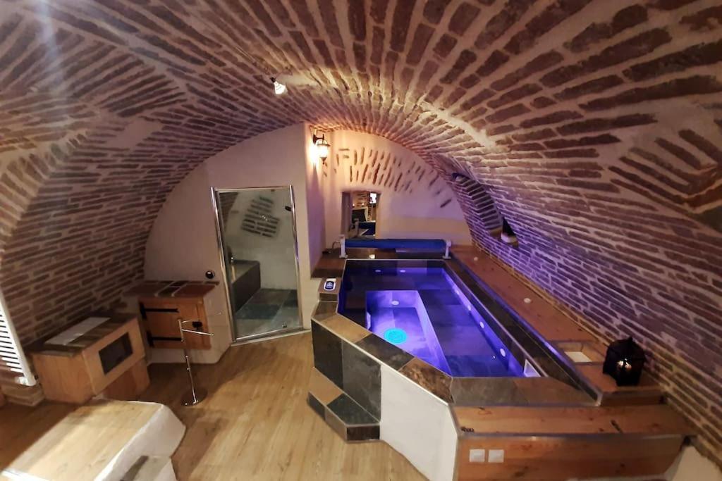 Studio Et Spa Privatif Le Puits De La Grace Albi Dış mekan fotoğraf
